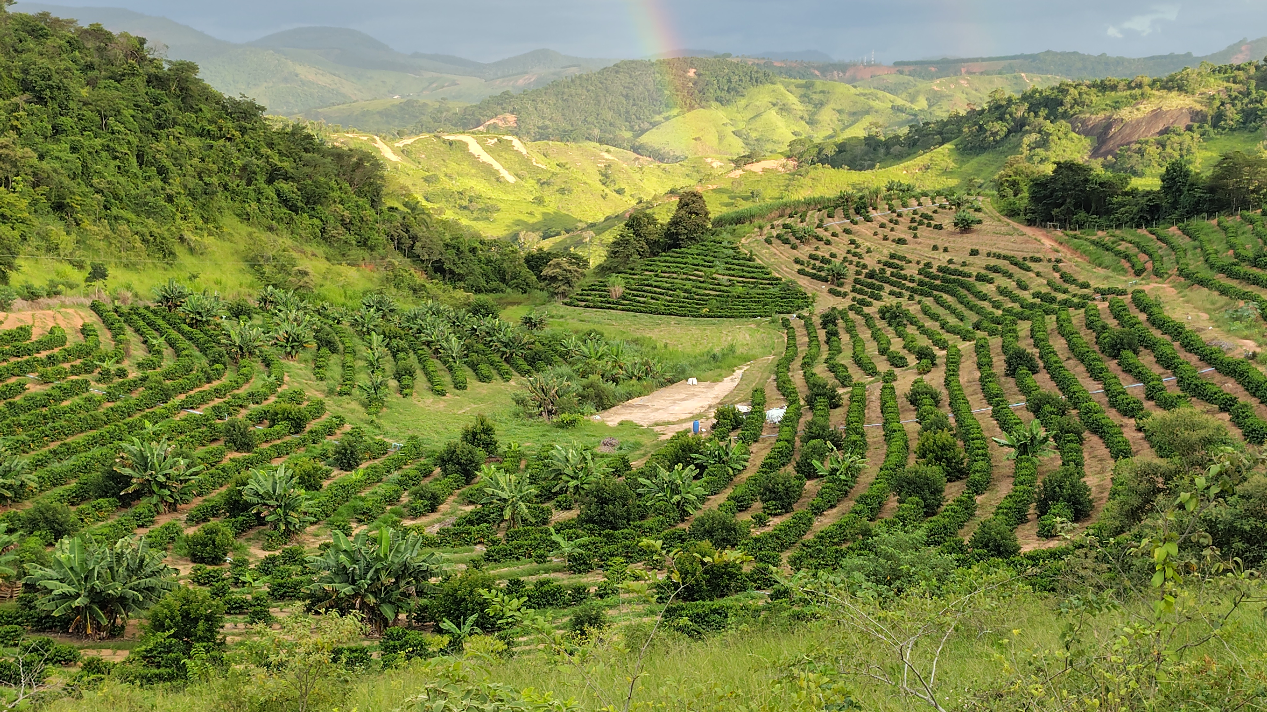 Fazenda da Barreira